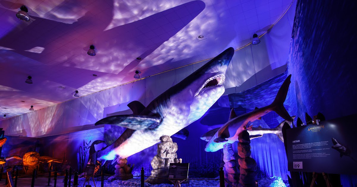 "Зимова країна на ВДНГ" знову об'єднає киян і гостей столиці